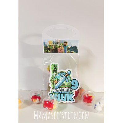 Partybag Minecraft